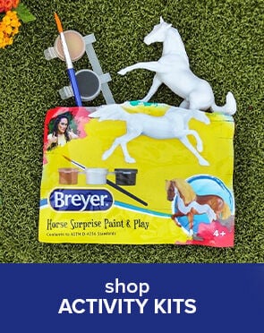 Activity Kits